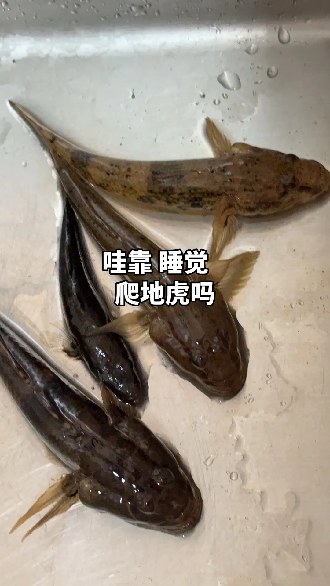 女钓友