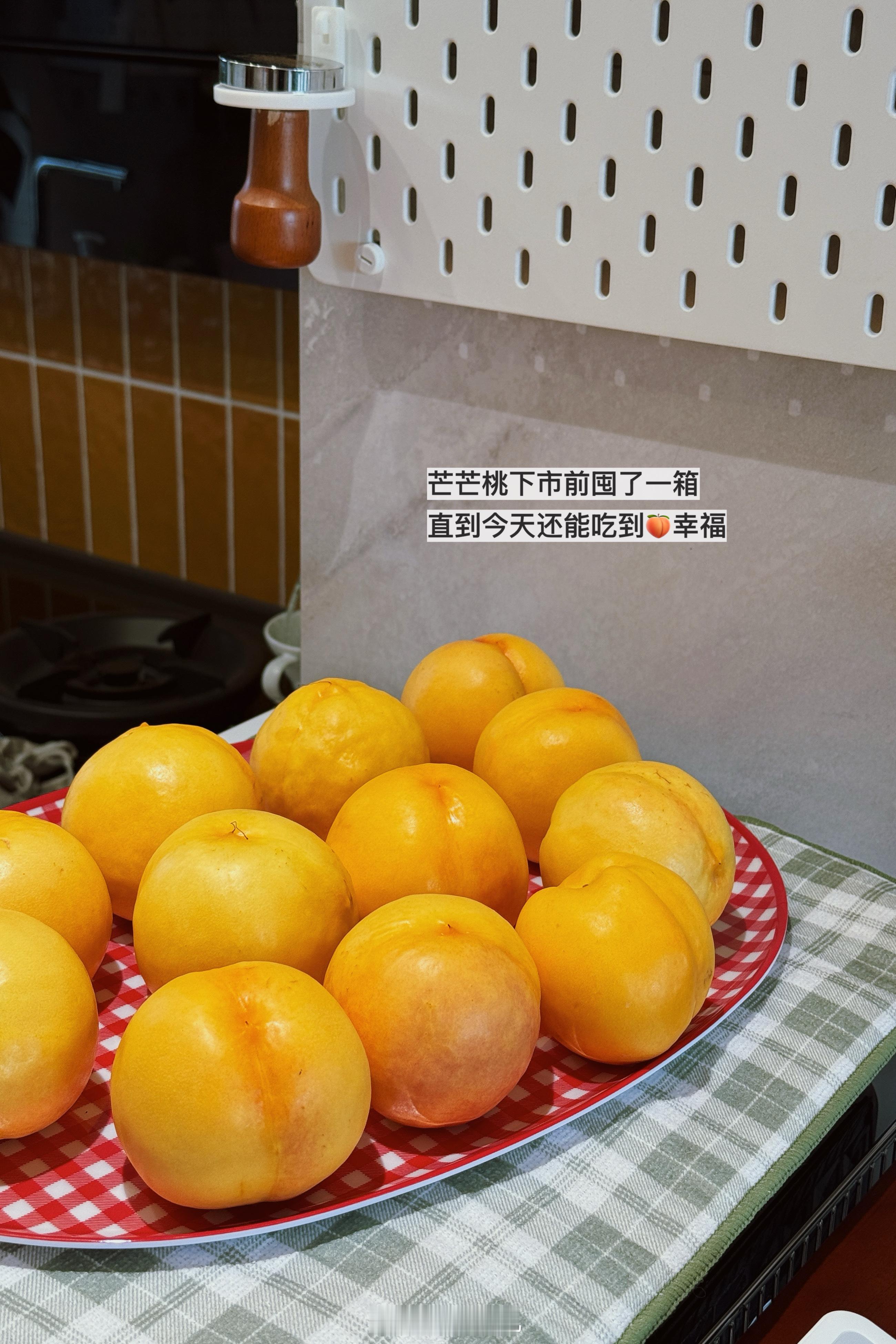 🥔Plog 276好久不见，我回来了 