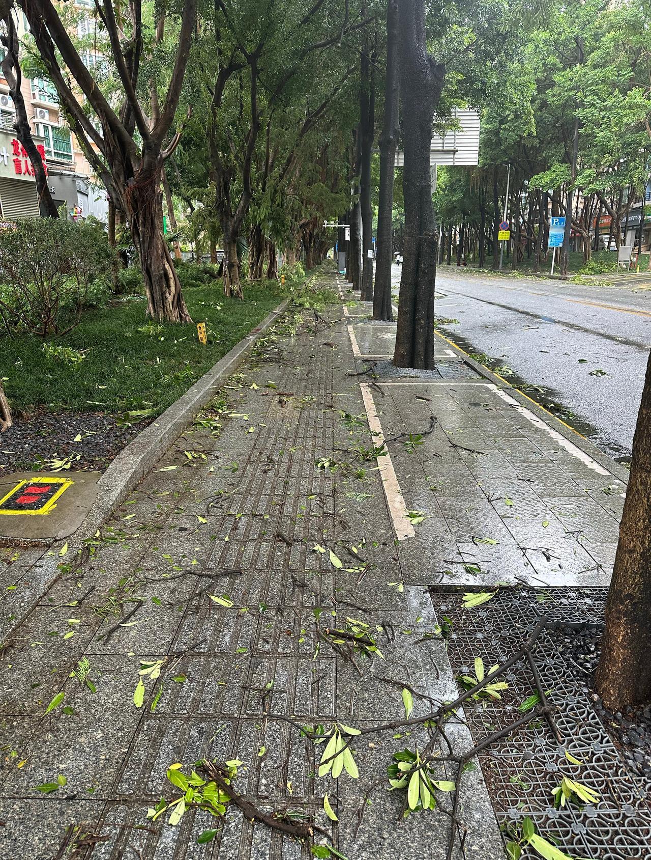 超强台风“桦加沙”从深圳正面150公里左右的洋面掠过，深圳未进入其12级风圈，虽