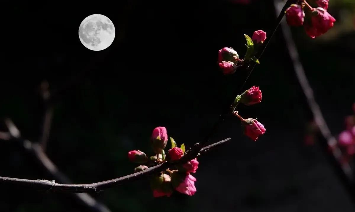 上联：？？？
下联：秋月春花各风采。