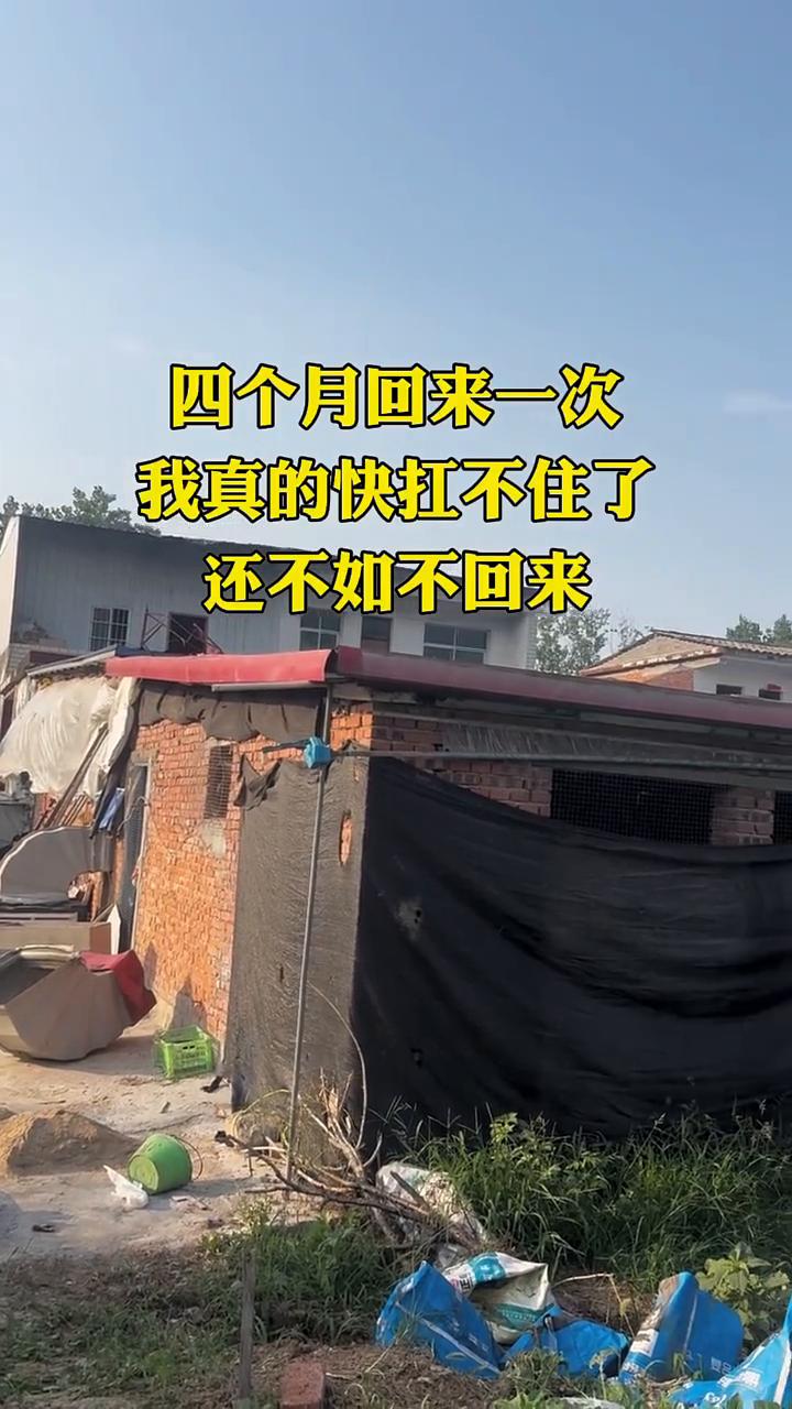 还不如不回来，四个月回来一次，我真的快扛不住了。