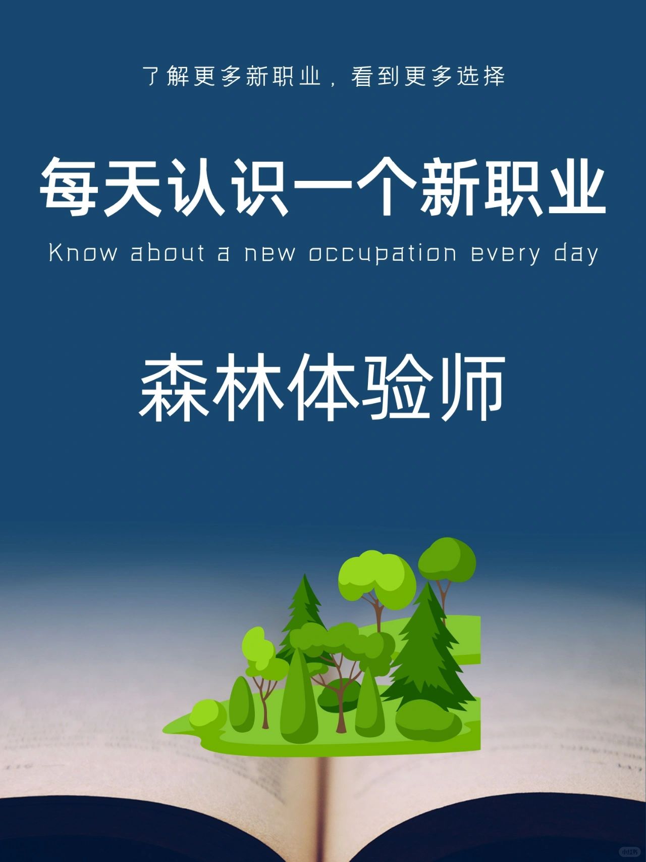每天认识一个新职业｜森林体验师