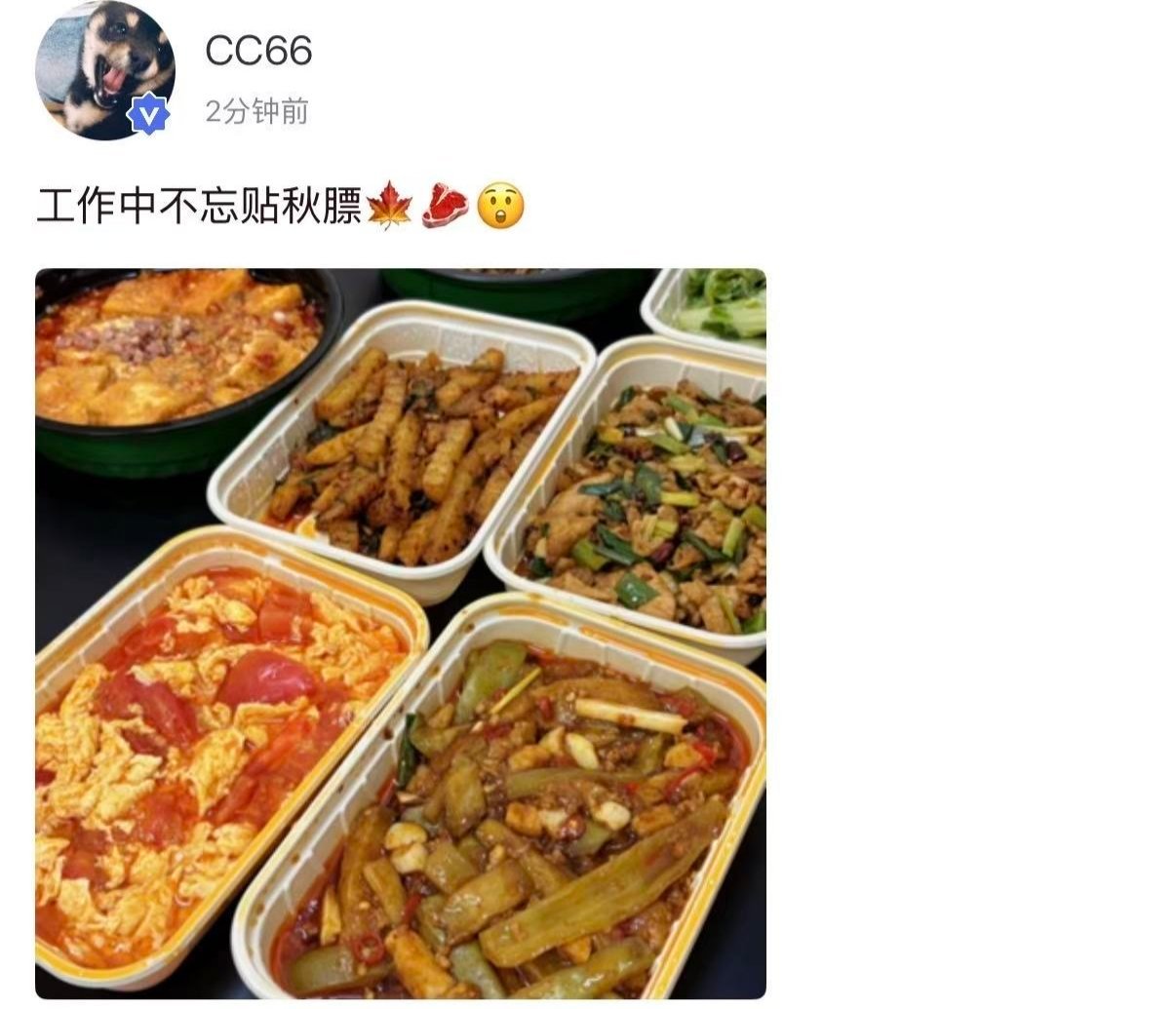 这个CC66又来报备了，最尊重立秋的男人出现了😂 
