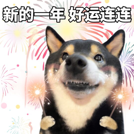 2025也请多多关照！