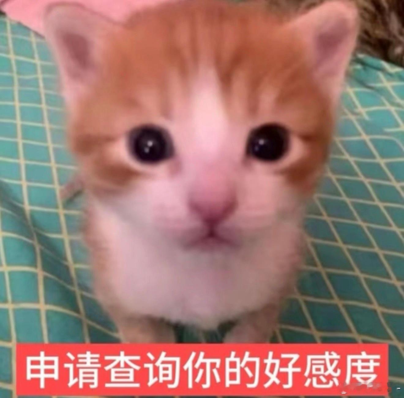 宝宝们我提前说一下我月底要搬家去上海，然后可能续火不太及时，最多应该就两天不续，