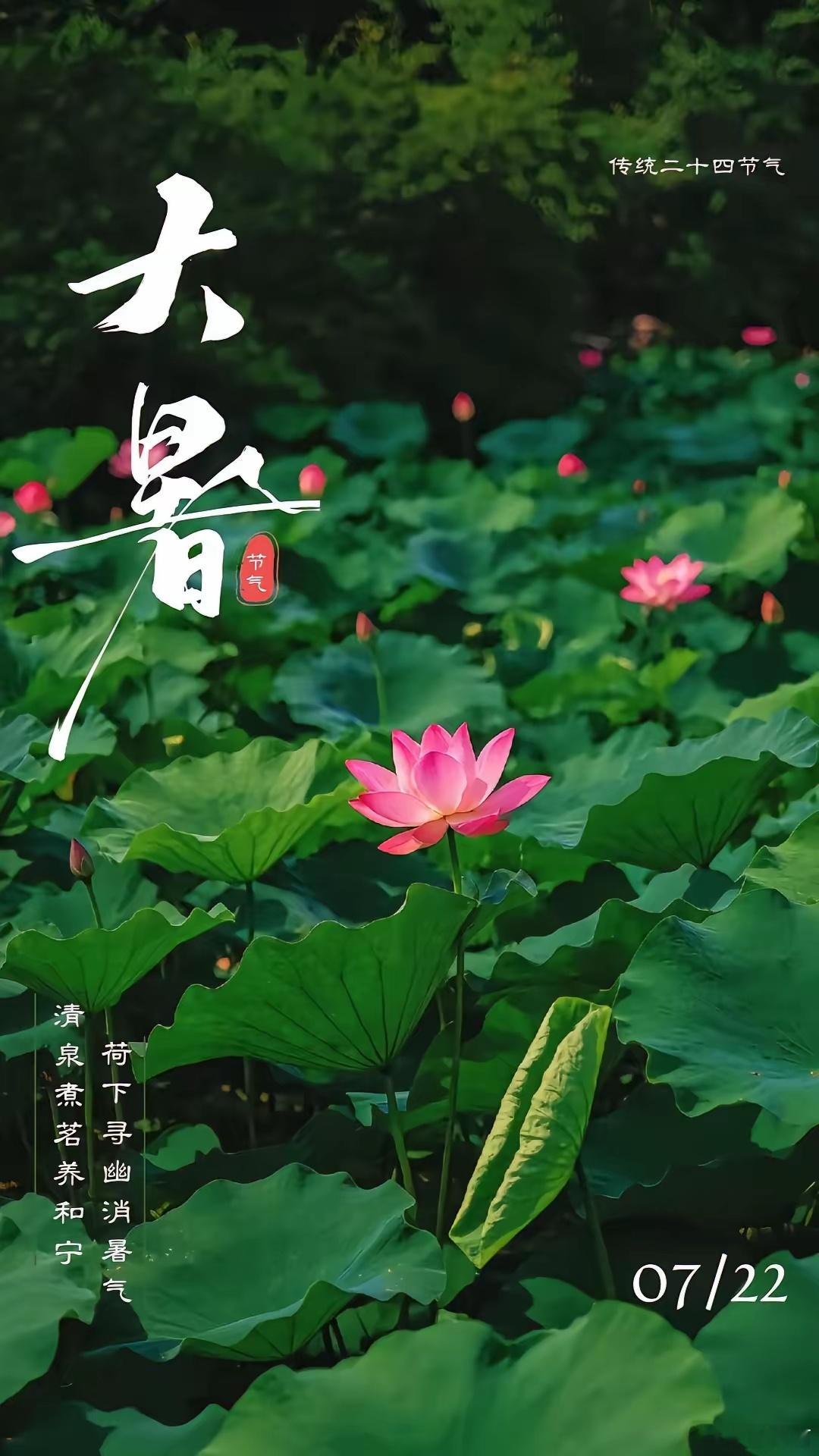 2026.07.22        二十四节气：大暑        今日大暑，万