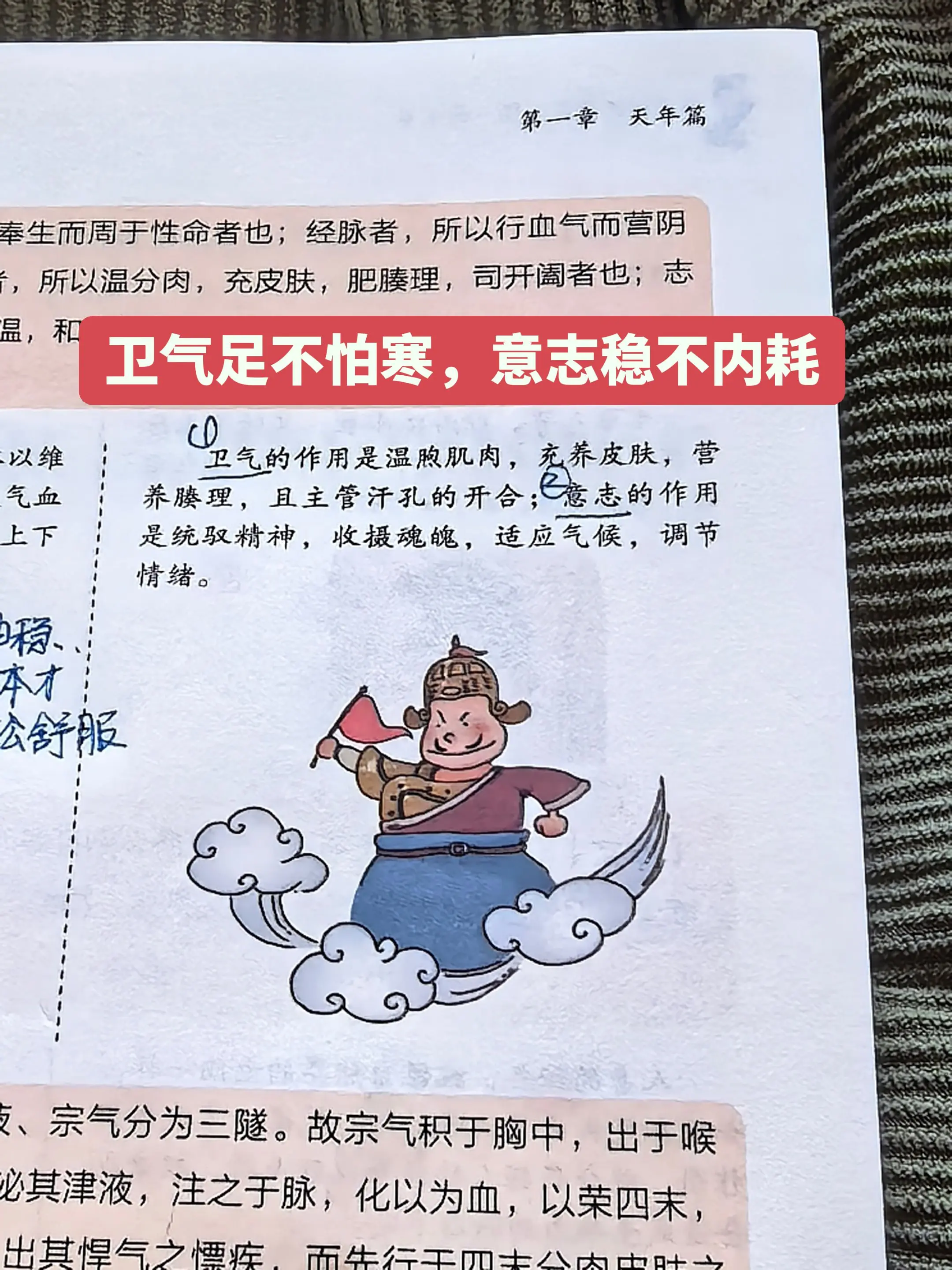顾好卫气稳心神，身心状态才有劲。卫气其实是我们体表的保护屏障✨， 负责...
