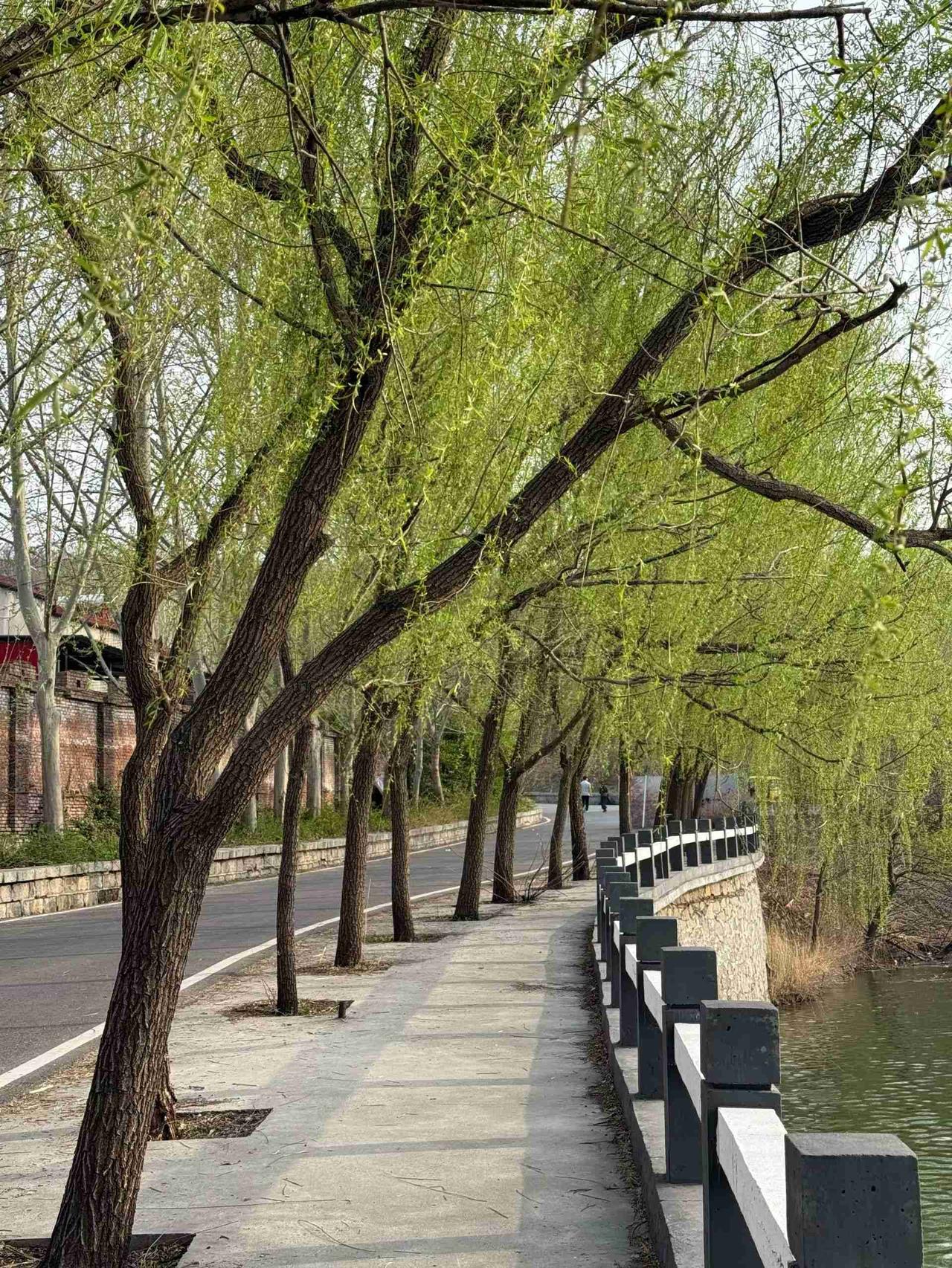 我的今日状态：😁轻松愉快
我这里的天气：☀️晴天