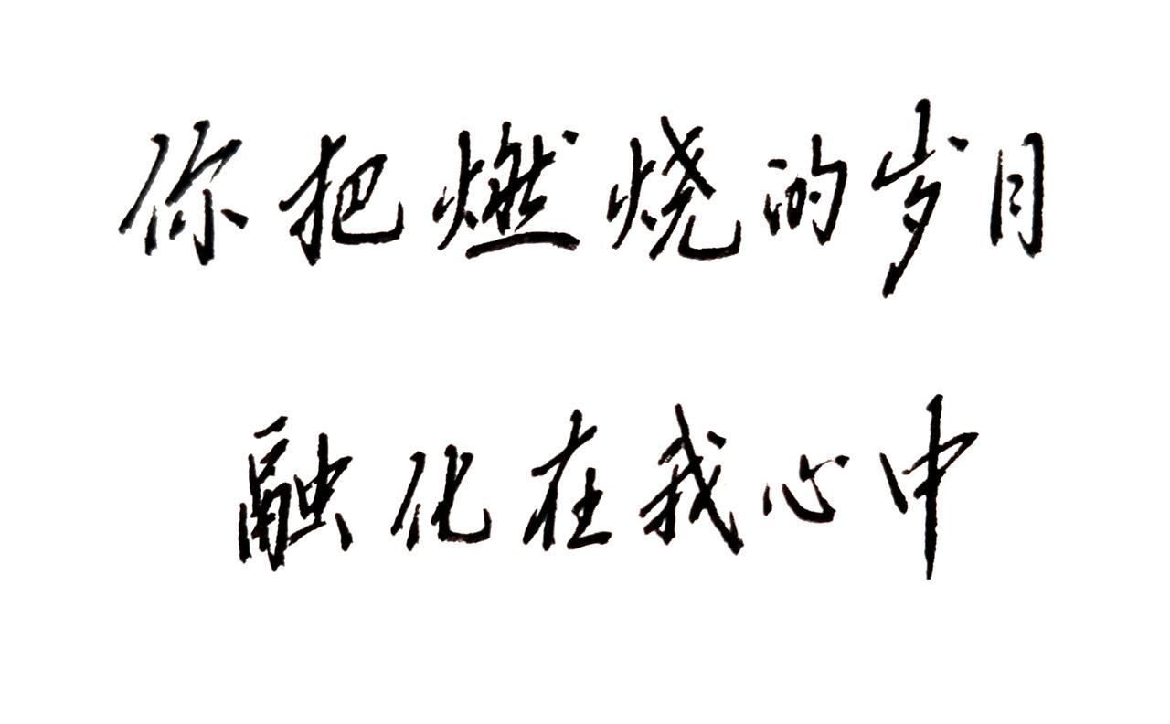 你把燃烧的岁月，融化在我心中。手写是一种情怀