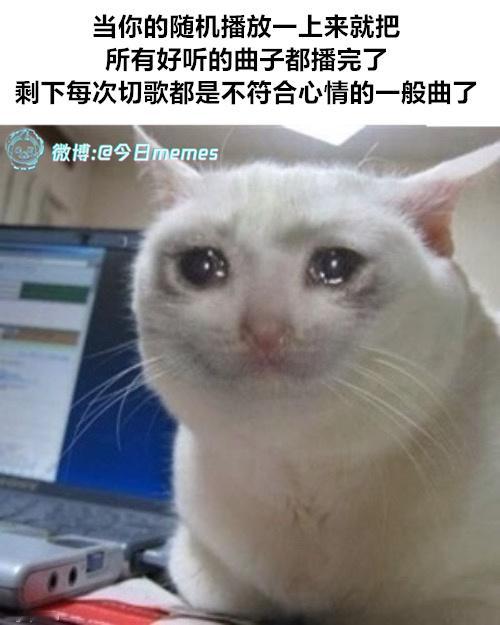 铺垫未来（9gag）今日meme今日memes