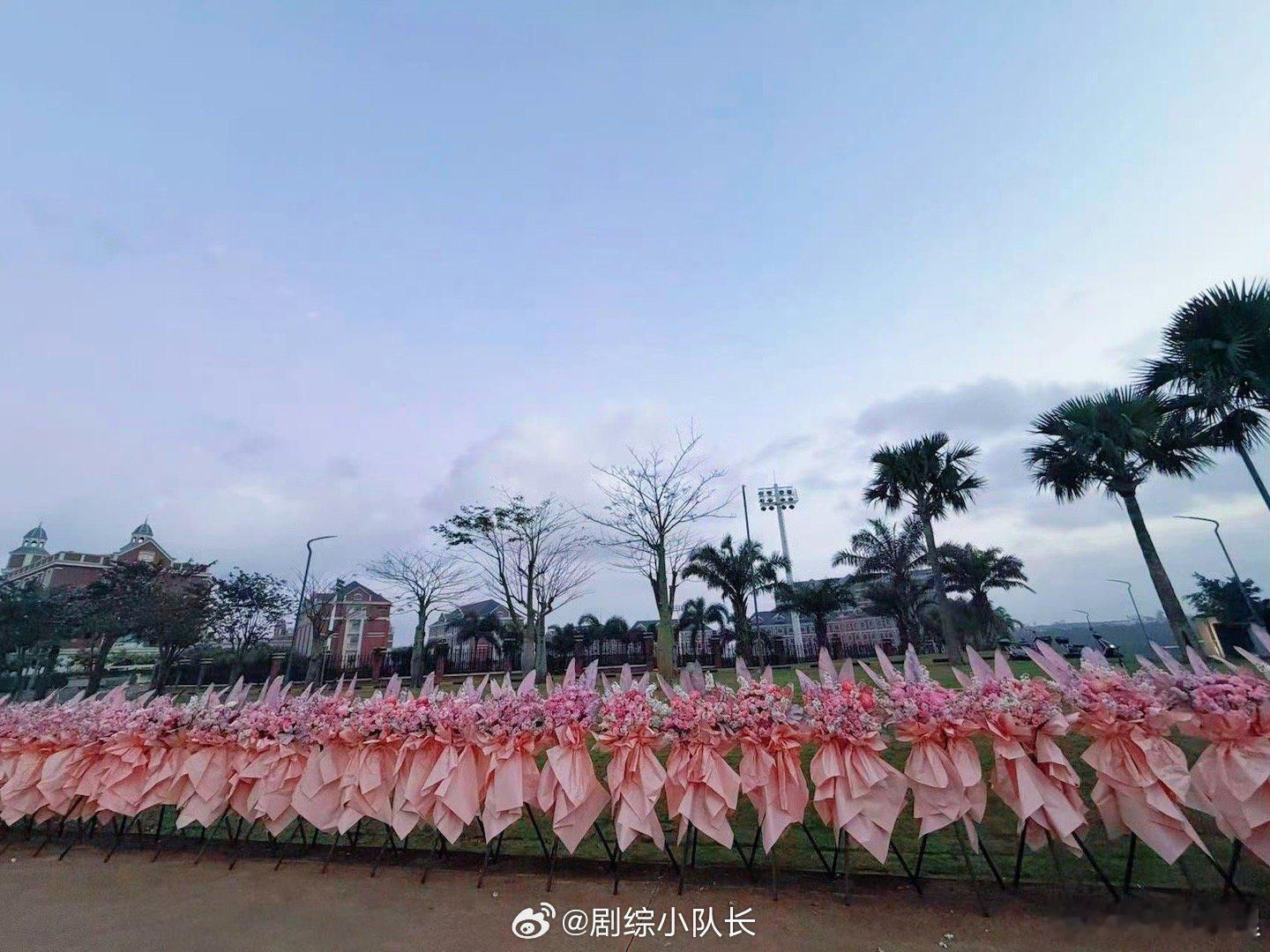 杨博文新剧开机收到了161个花篮 这开机现场，简直是“爱意博览会”！杨博文被16