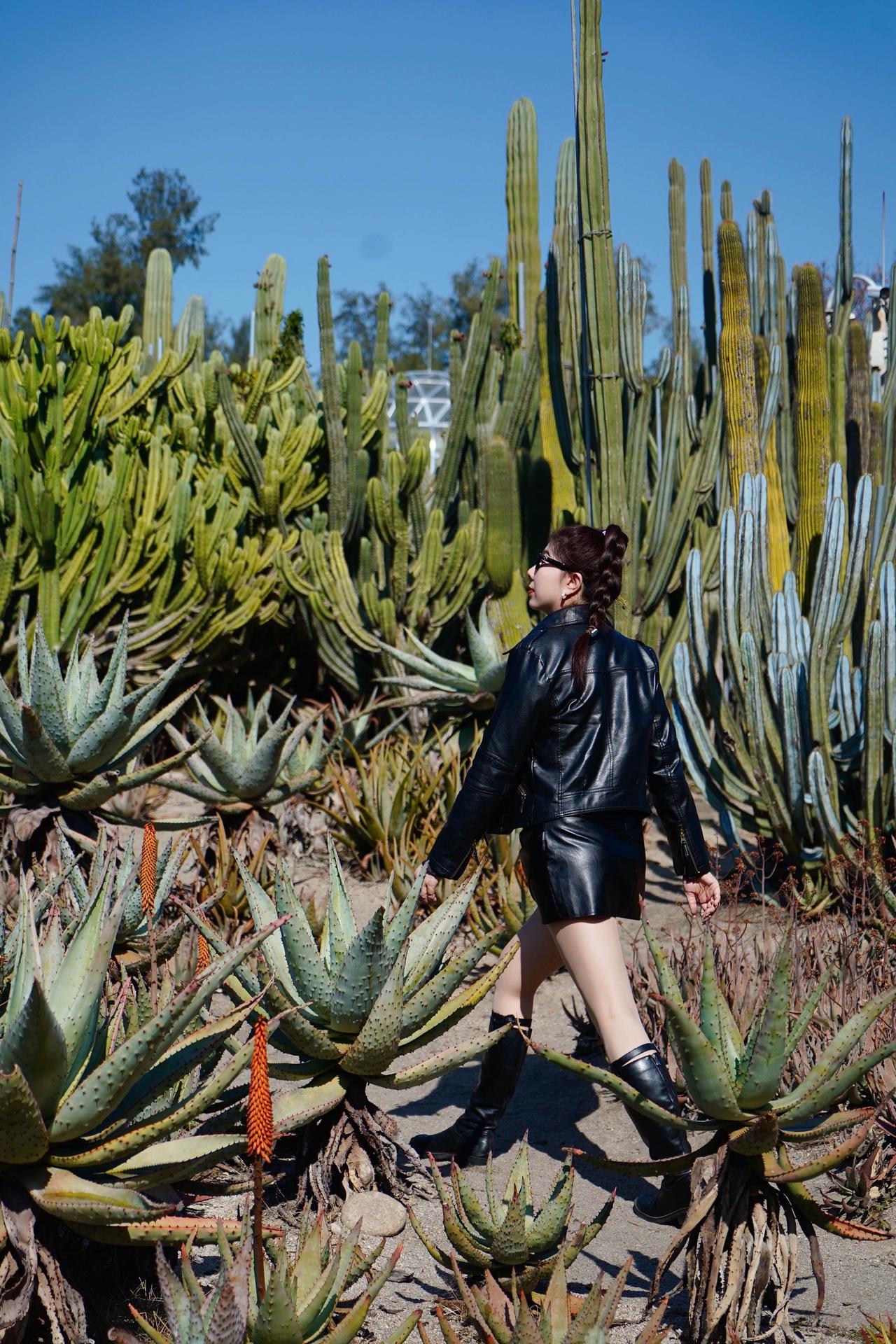 厦门园林植物园🟩💚🟢闯入一场浪漫的森林世界

🌵 很喜欢这些高大的仙人掌