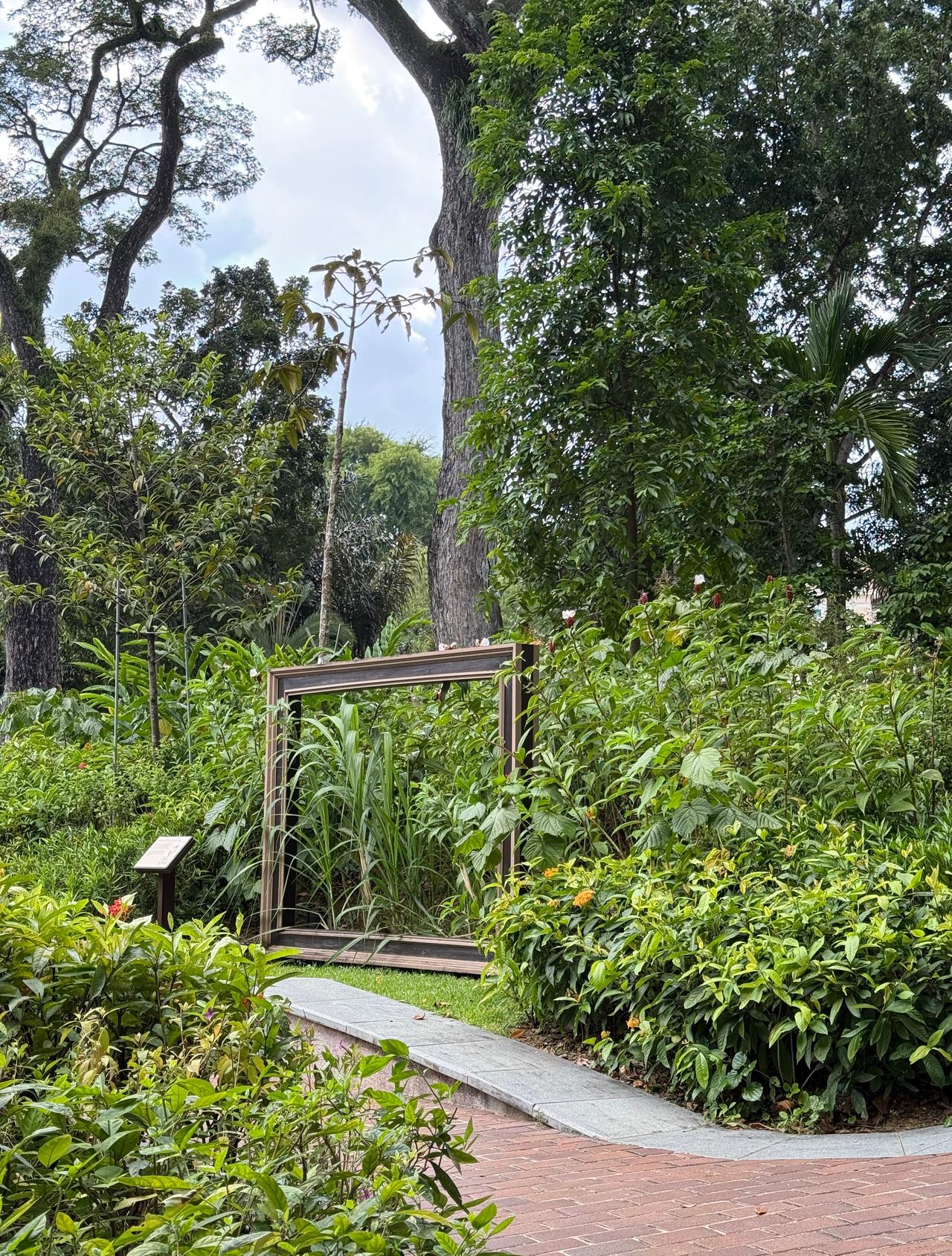 很爱我最近平静的生活 ​​​