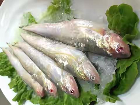 几款江鲜，你能认出来吗？
        图片源于网络，如涉侵权，请联系删除。谢