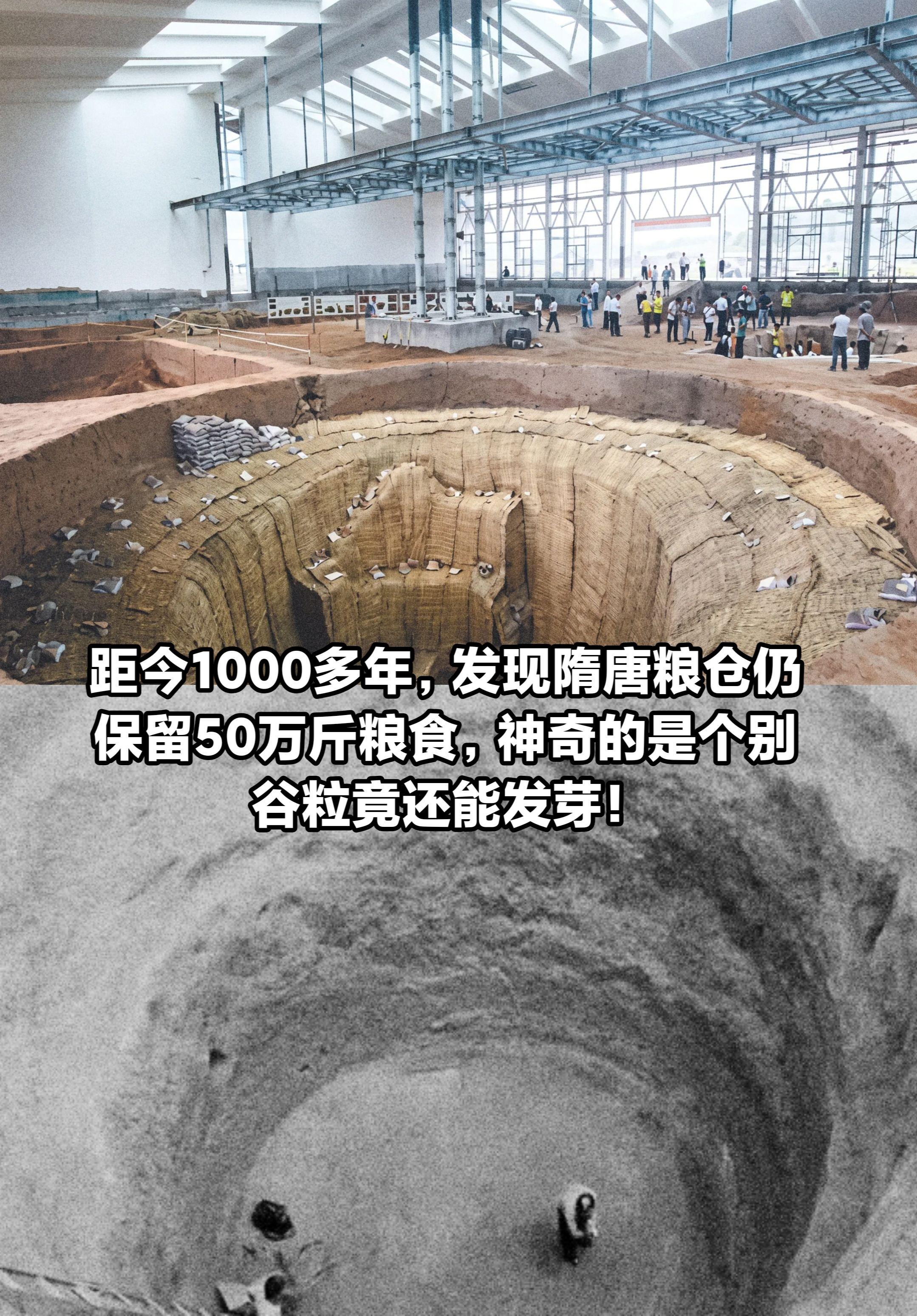 意外挖出隋唐巨仓，窖内留存约50万斤谷物。