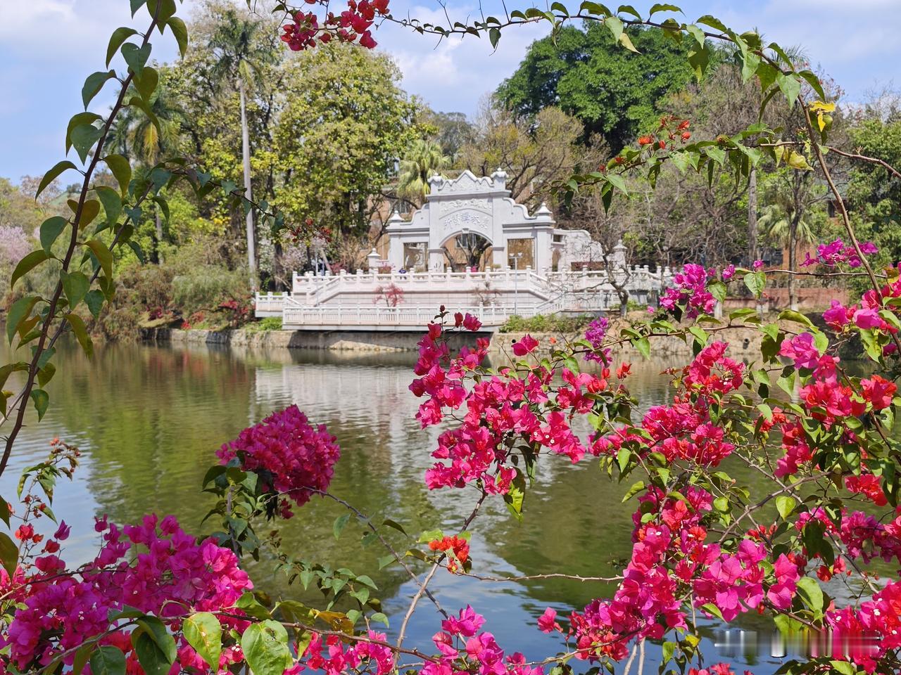 你能想象得到吗？癌症晚期伴有糖尿病的老妈腰椎骨折了，儿女们轮流上门照顾，副教授儿