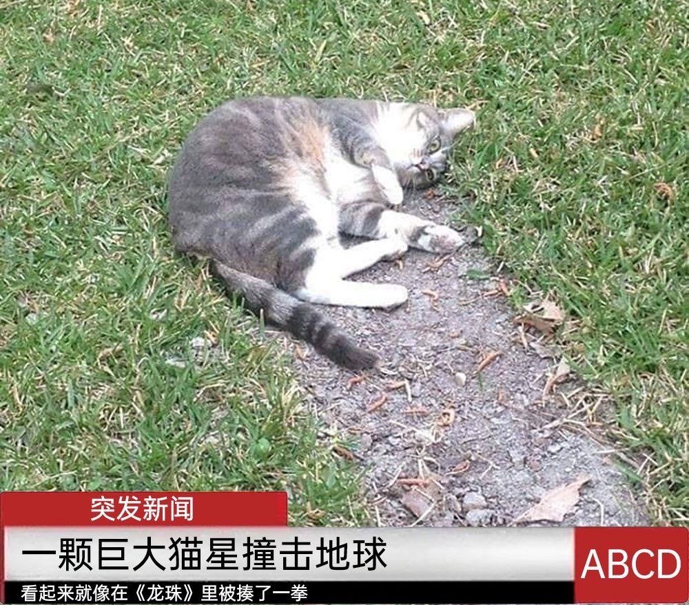 哎呀 ​​​