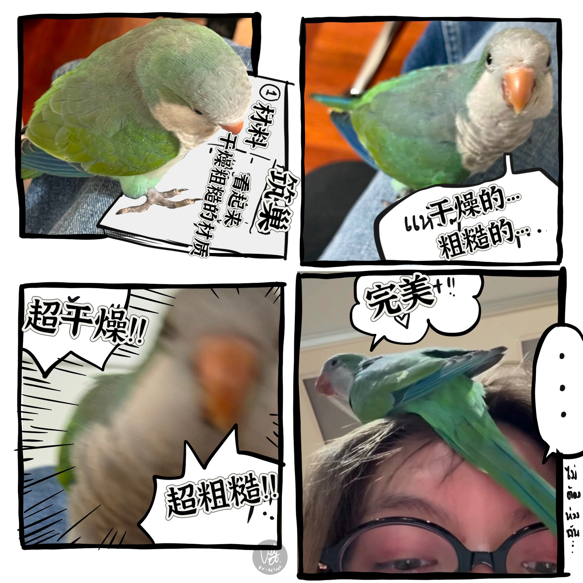 小abu找到了最适合筑巢的地方“妈妈的头发” ​​​