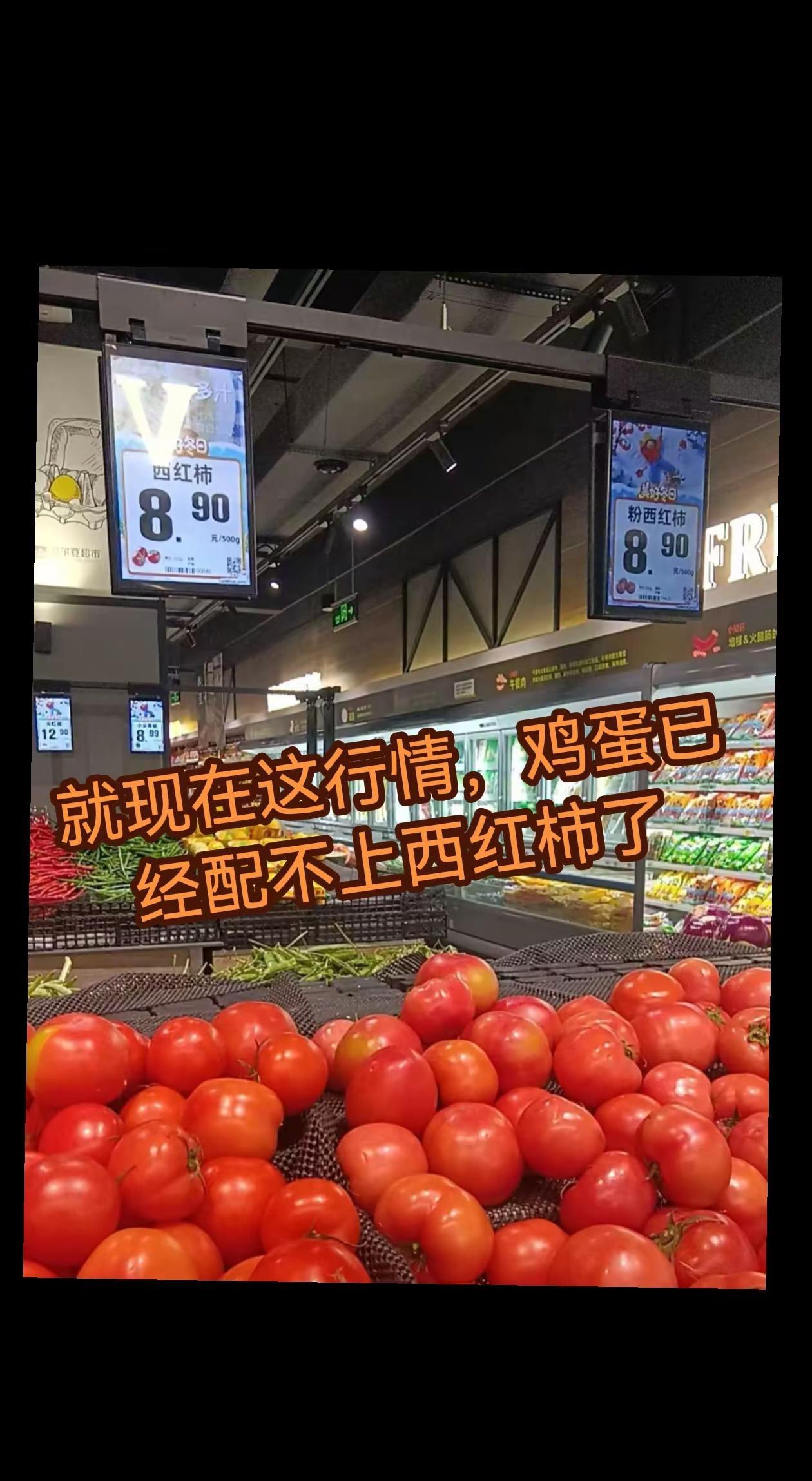 鸡蛋已经高攀不上西红柿啦～～～