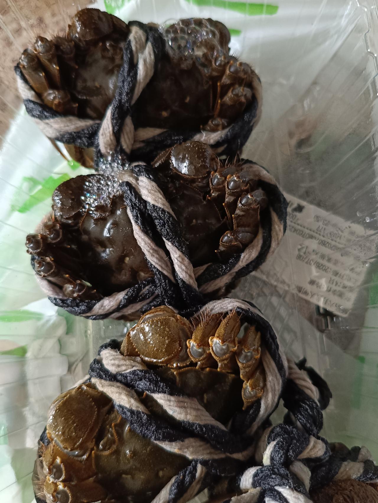 儿媳网上下单买了一箱大闸蟹，我心里想着这么热的天买蟹能保证鲜活吗？

    只