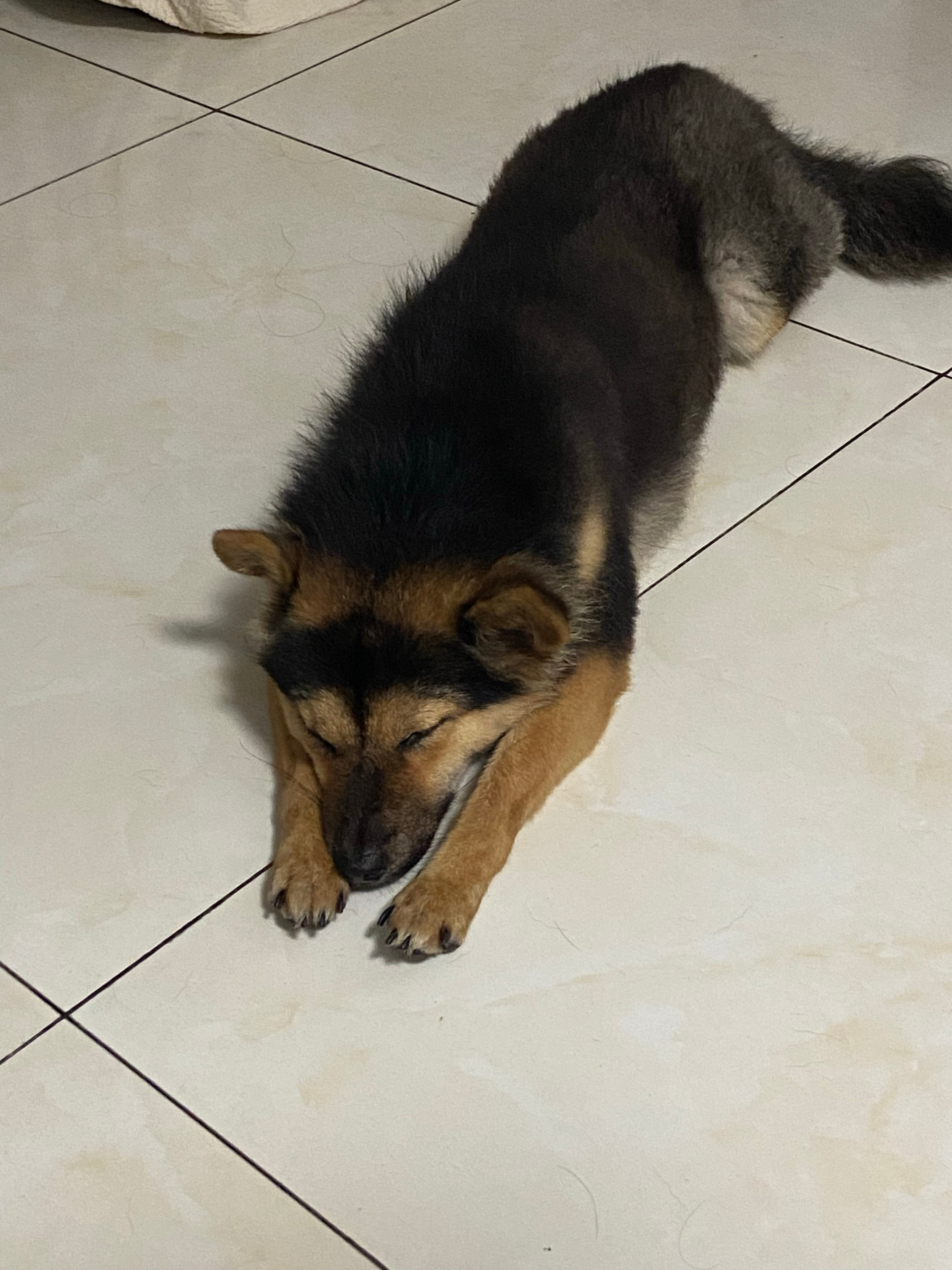 再通宵看小说我是🐶通宵了半个多月 实在是受不了 