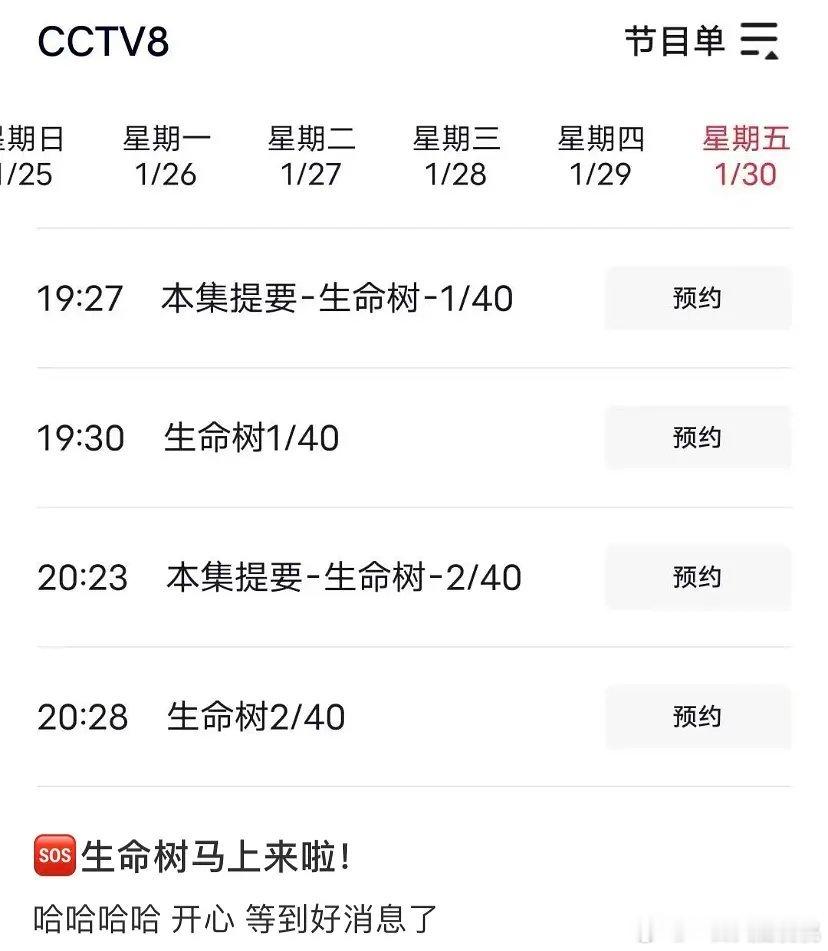 生命树🐏8 30号 