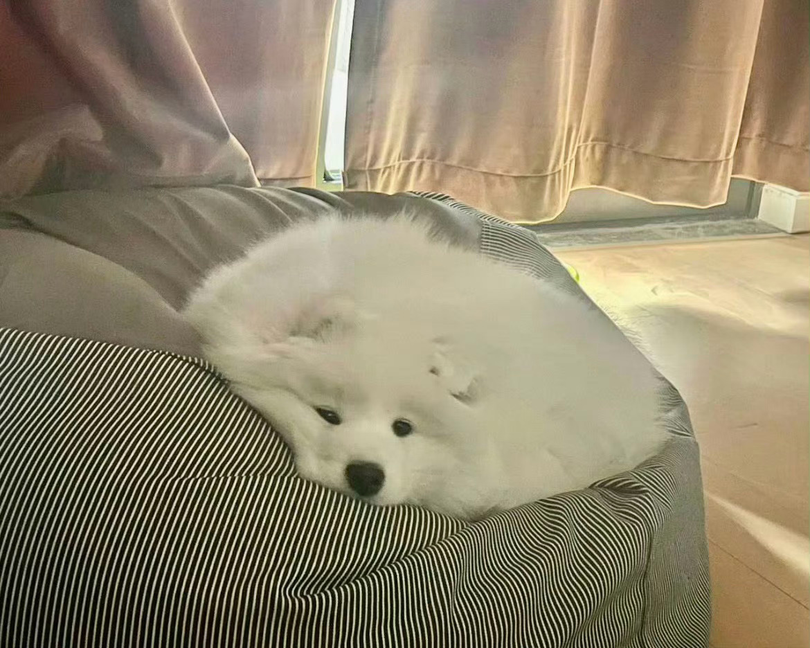 ૮´••`ა 