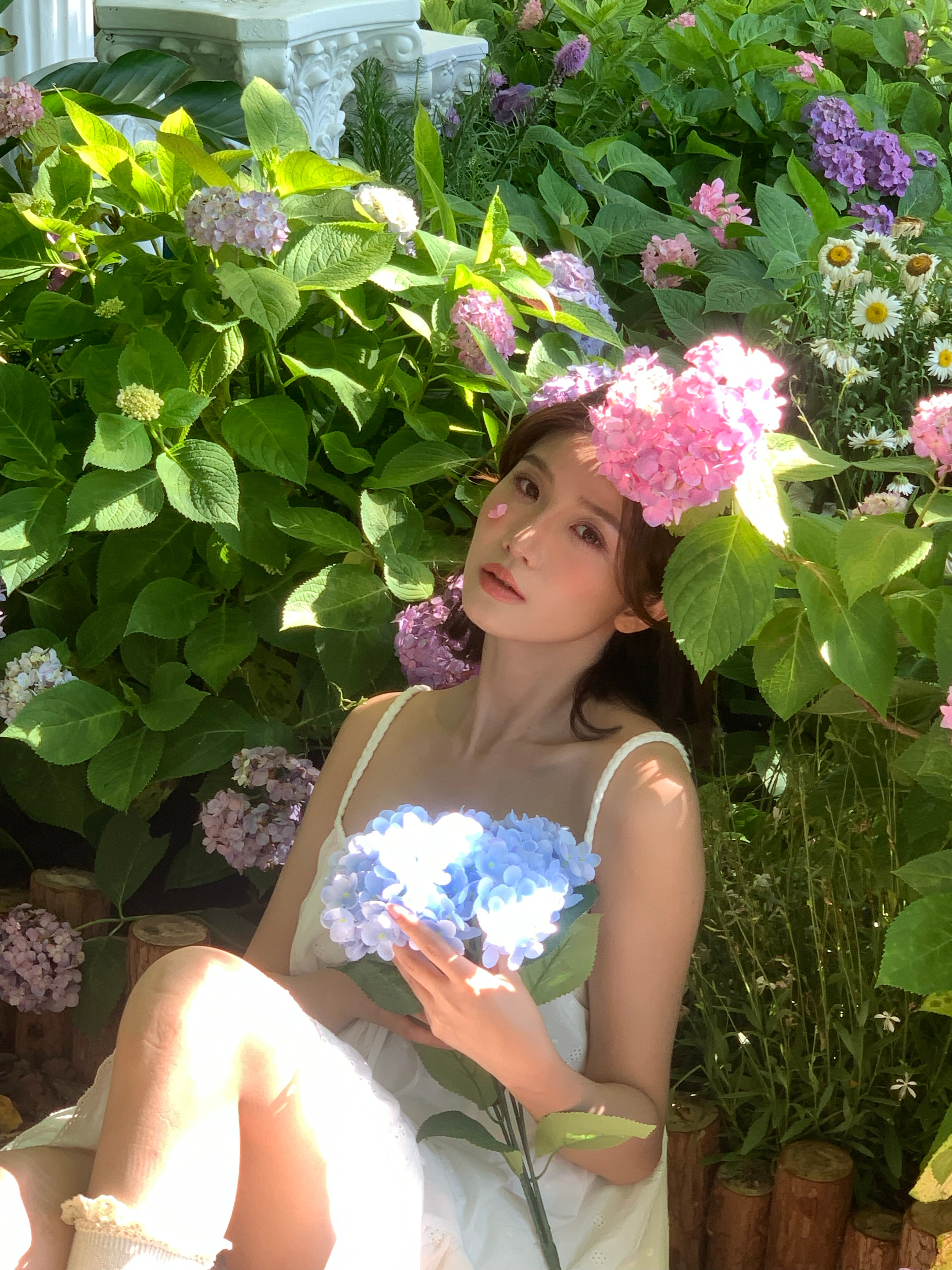 ₊⁺ 𝓈𝓊𝓂𝓂ℯ𝓇 ⁺ ˚蝴蝶🦋飞向她的盛夏