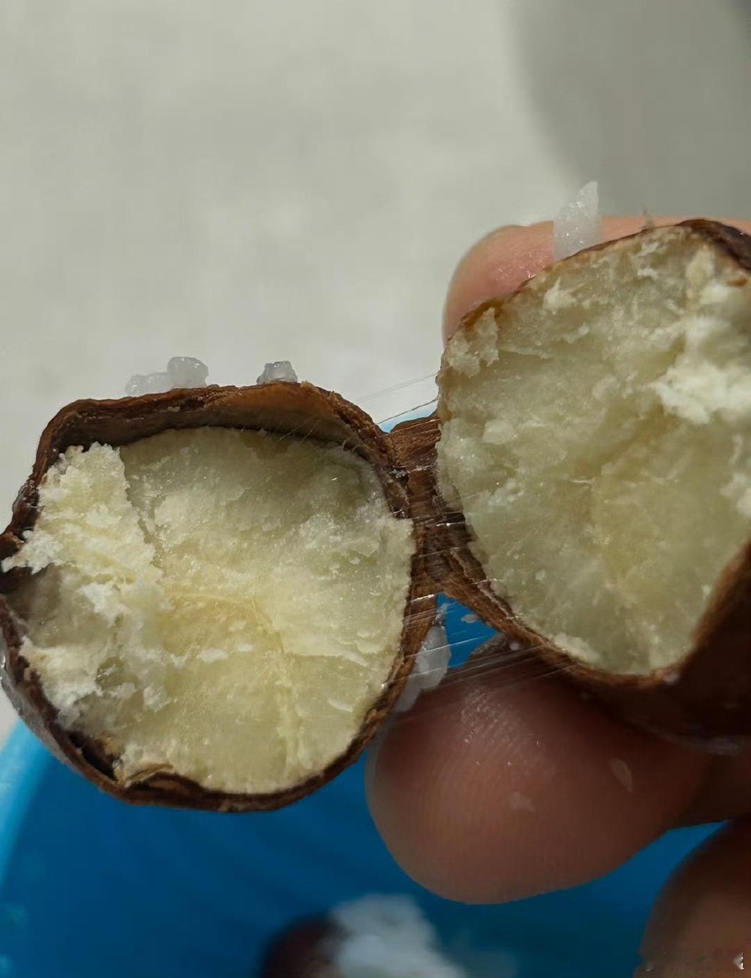 榴莲核煮饭，为什么现在才让我刷到，我之前到底浪费了多少东西？