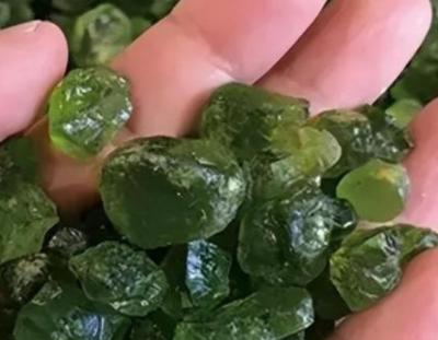 2002年，天津一男子10年，捡了600多块蛟河橄榄石，专家知道后惊喜不已，随后