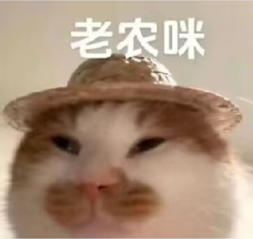 今天还在上班的人，做什么都会成功的。 