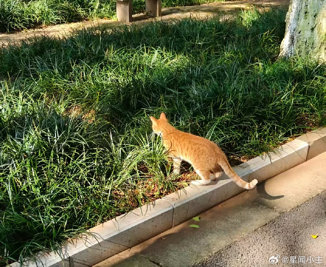 染了血的红舞鞋还能跳起来吗，能不能不知道，知名度算是打开了，黑红也是红 ​​​