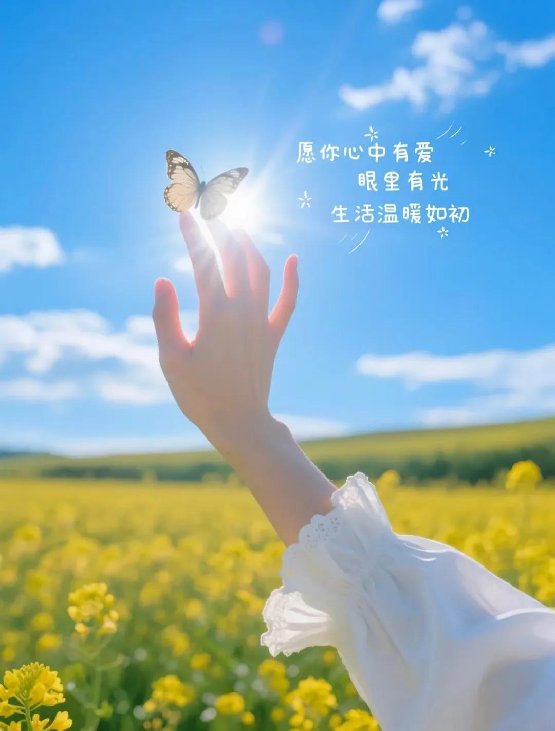 ²⁰²⁵/₀₄.₂₅ᰔᩚ🌷𝒢𝑜𝑜𝒹 𝑀𝑜𝓇𝓃𝒾𝓃𝑔   