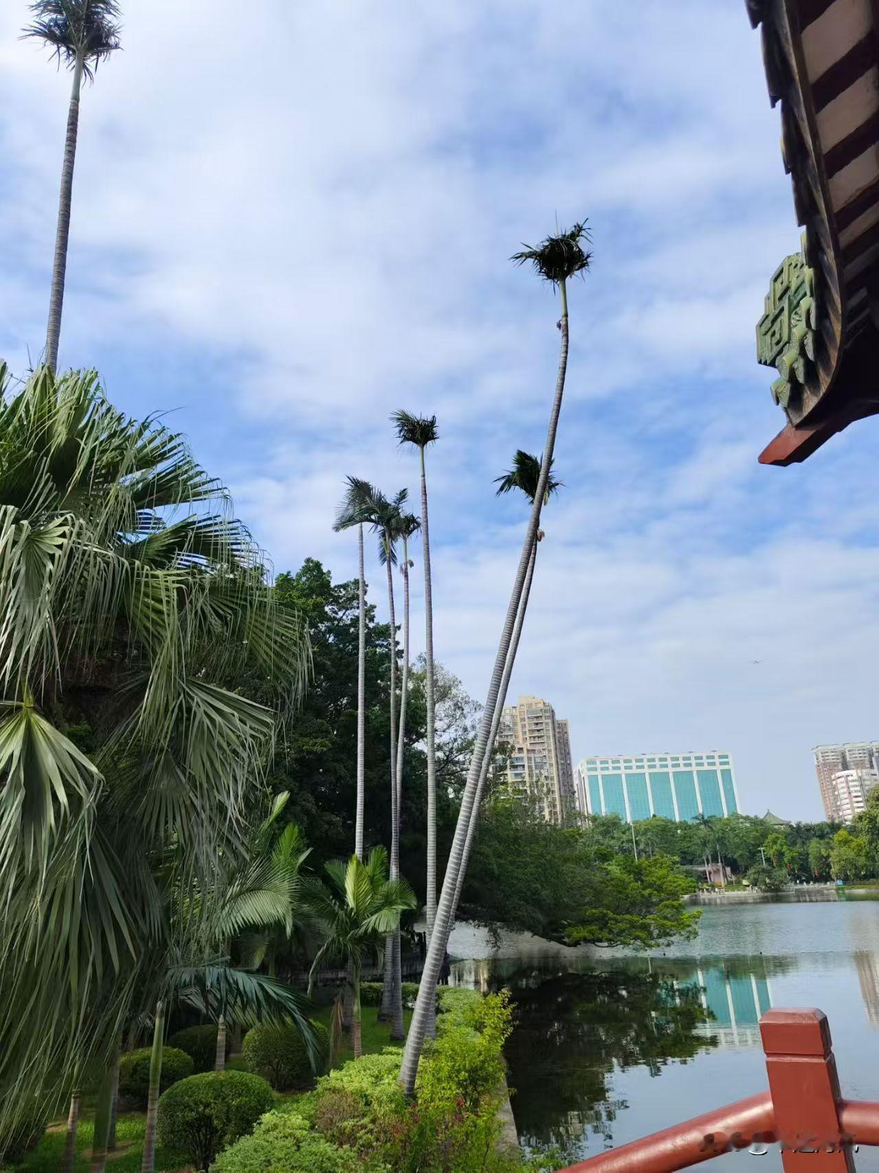 分享一张随手一拍的照片