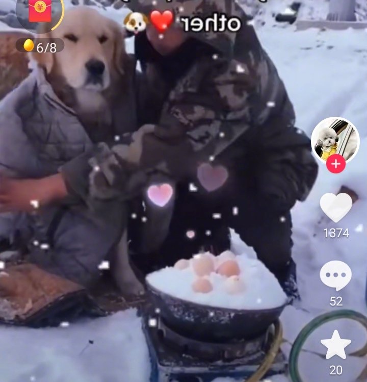 主人是伐木工，无论怎样的天寒地冻，都有狗狗的陪伴，相互取暖，用冰雪煮鸡蛋一样可以