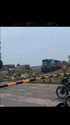 印度🇮🇳的🐂这么抗打吗？[泣不成声]