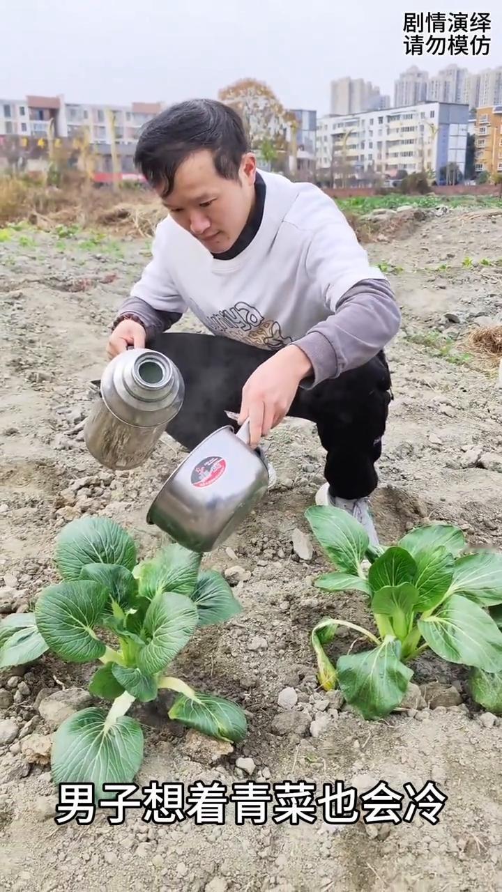 男子担心天冷菜会冻着，下一秒他的做法太有才了。
天气越来越冷了，男子想着青菜也会