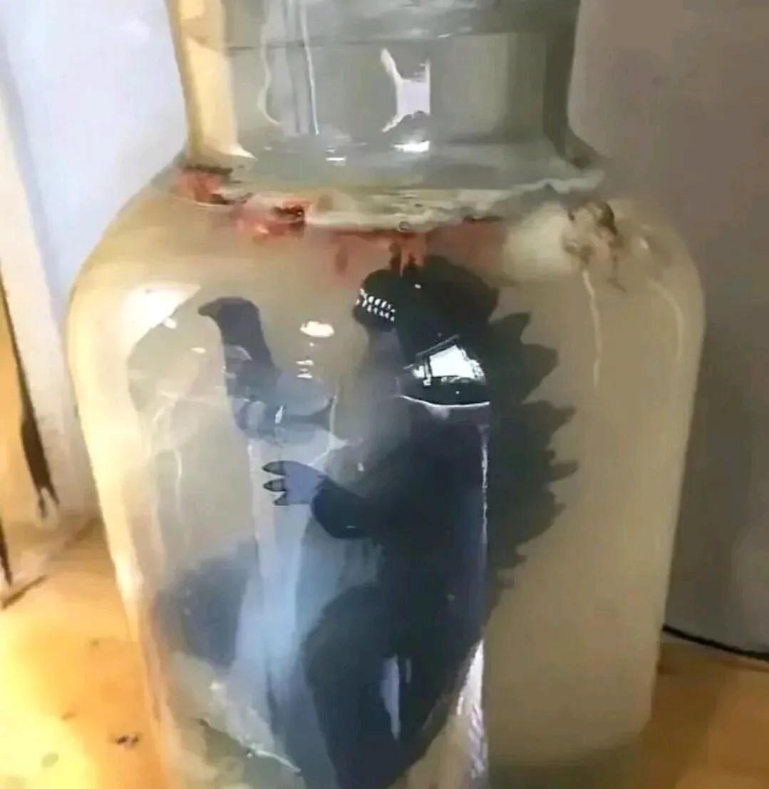几个月前，一个男子决定泡制一坛药酒。
他精心挑选了各种药材，按照古老的秘方，耐心