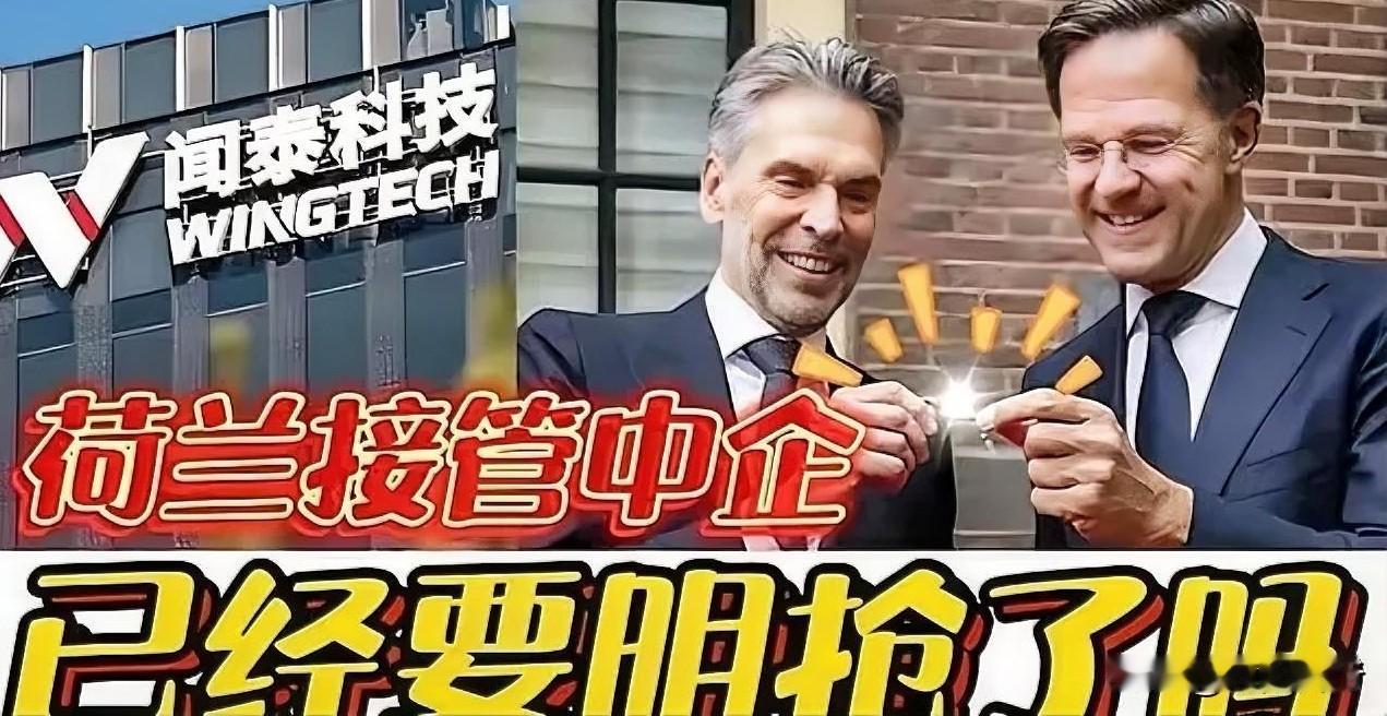 跨国收购的坑，闻泰科技给我们上了一课！

花巨资收购的海外公司，却被当地政府一纸
