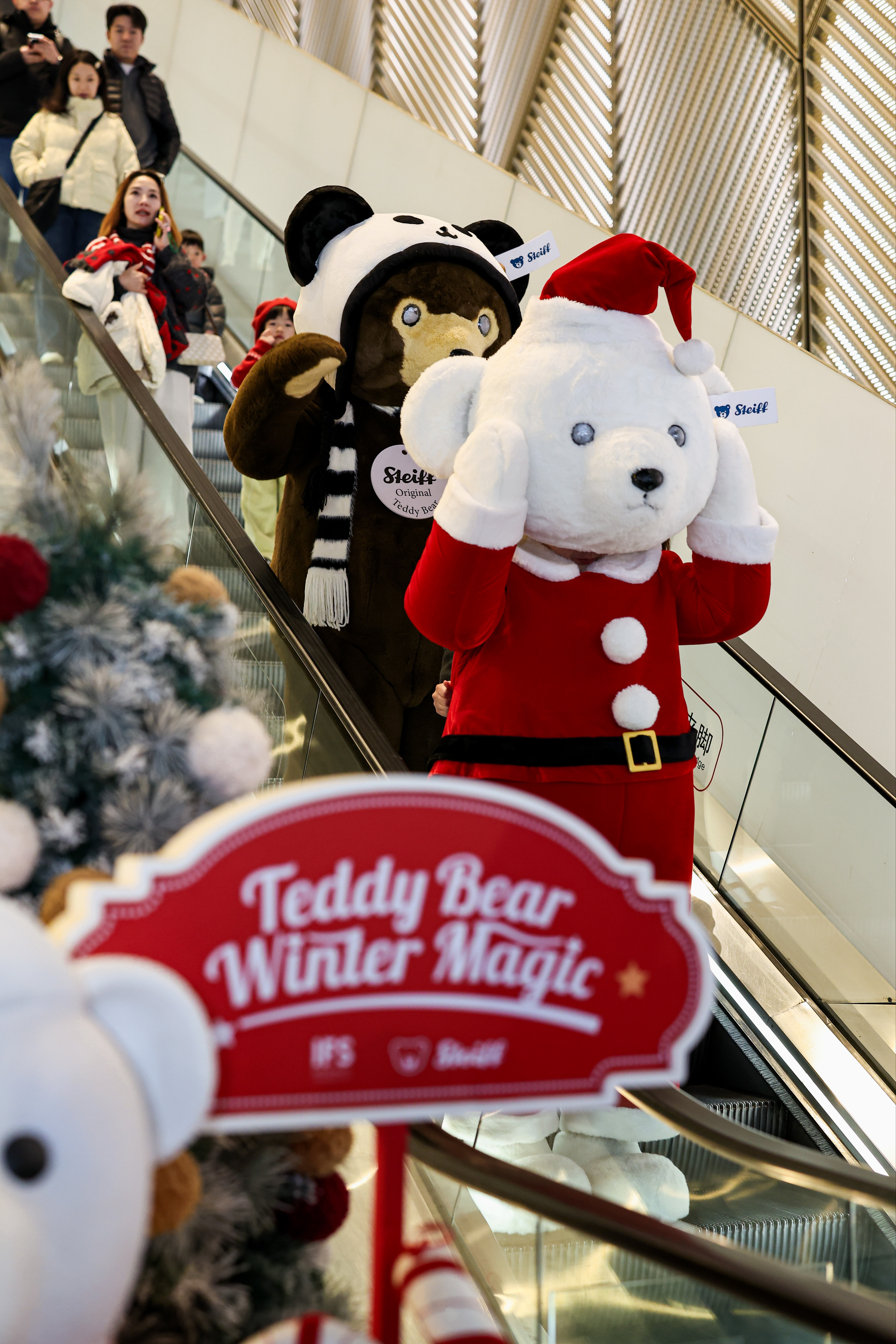 今年成都人和泰迪熊一起过节，太棒了吧！IFS×Steiff泰迪熊冬日奇境，承包所