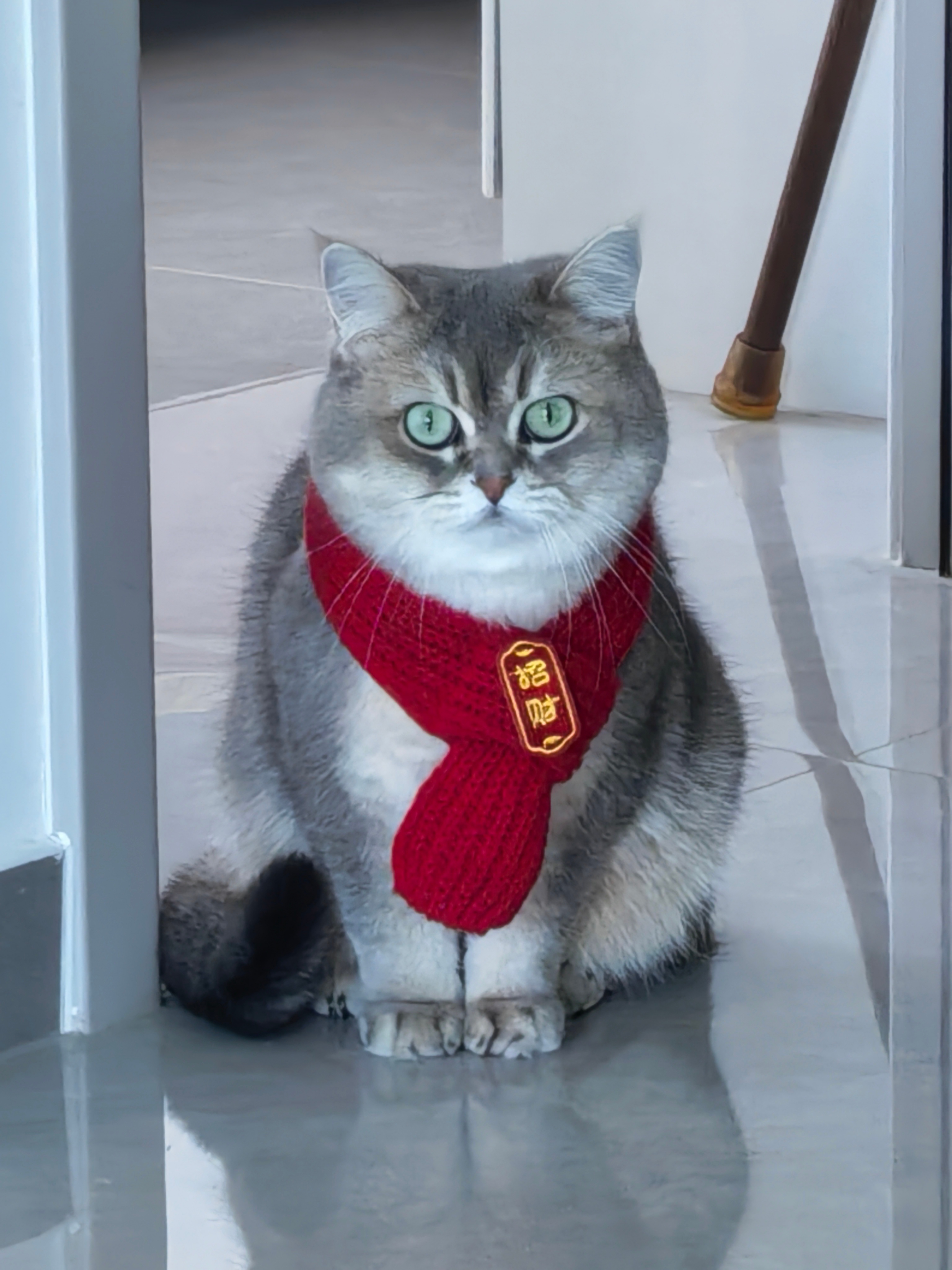 张艺凡艺起爱信箱 新年快乐🥳🧨给你康康我的小招财猫！新的一年一切顺利✧(≖◡