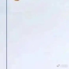 服从命令听从指挥，接受任务不讲条件执行任务不找借口，工作到位不打折扣 ​​​