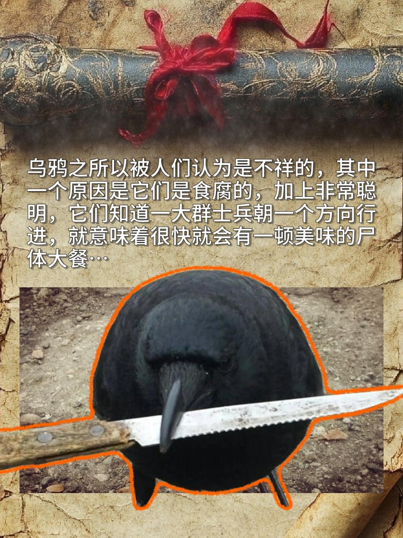 乌鸦之所以被人们认为是不祥的，其中一个原因是它们是食腐的，加上非常聪明...