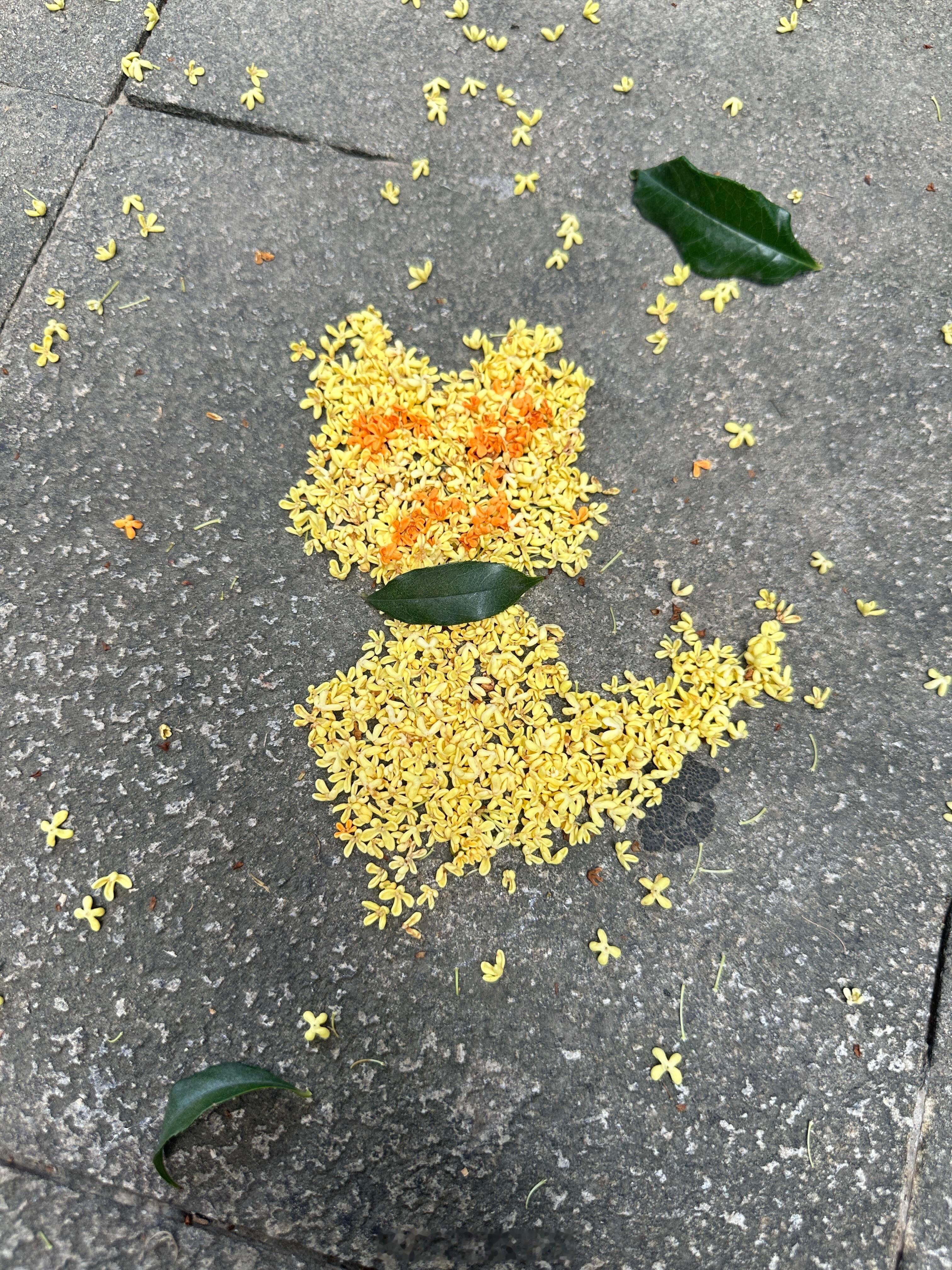 但愿日子清净，抬头遇见满眼温柔 ​​​