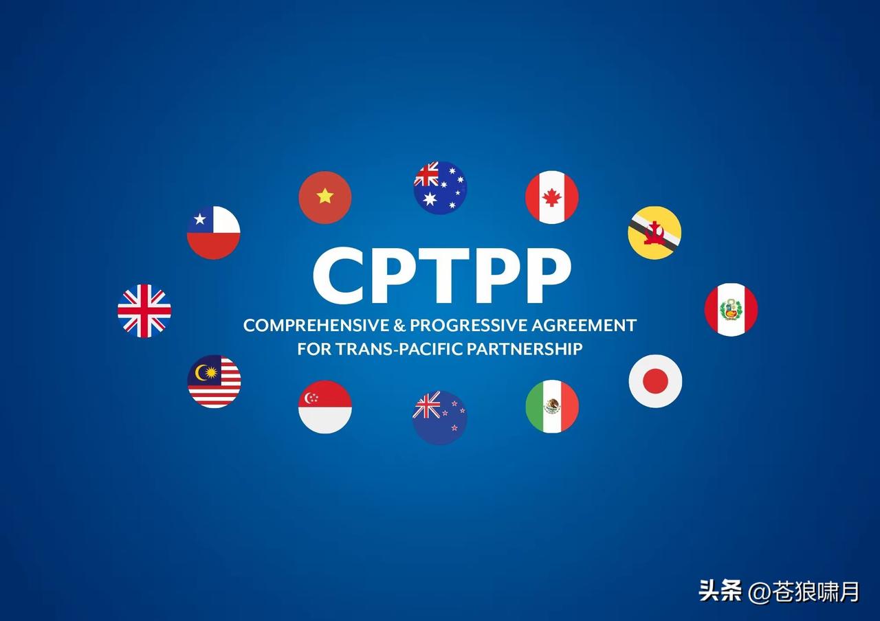 欧盟与CPTPP摆脱WTO，加紧进行数字贸易谈判，应当引起我们重视。

什么叫数