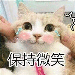 昨天小戚同学下晚自习回来看我运动的满头大汗“妈妈，你对自己真狠。”“狠也没见瘦啊