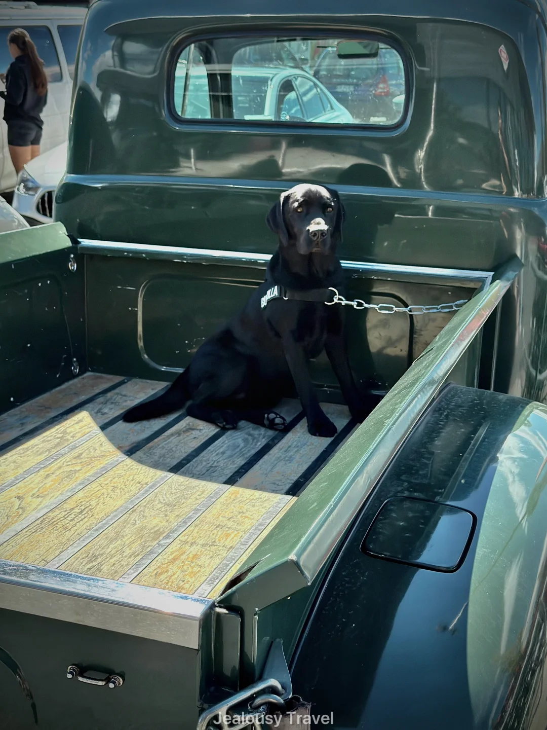 在新西兰南岛每天都是周末