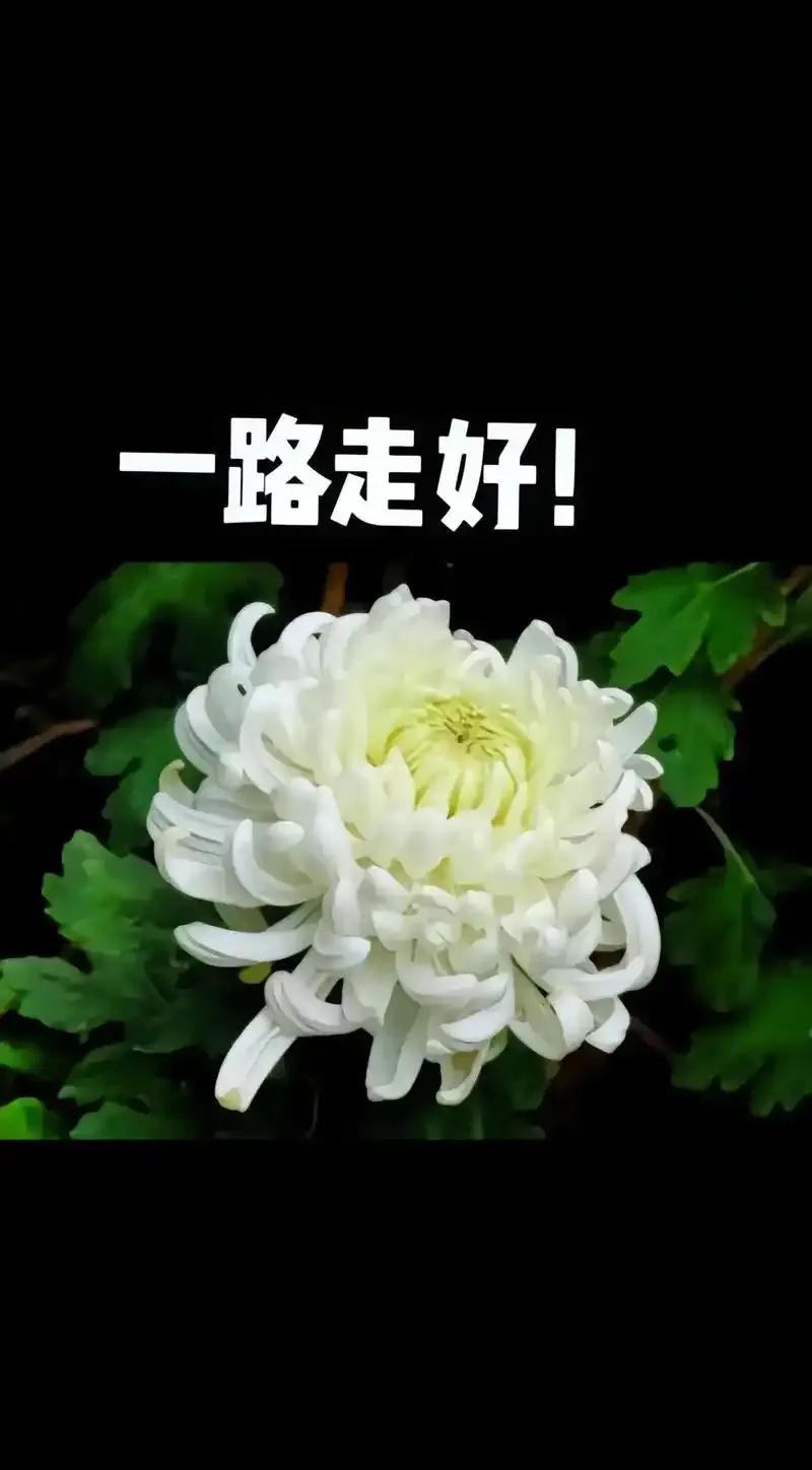 老话说的好“好出门不如歹在家！”出了一趟门，啥事儿没干，却累的腰酸背疼，最累的还