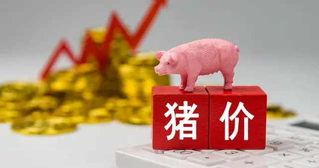 关税下调，美国猪肉带来危机？猪价怎么走！附5.14猪价预测