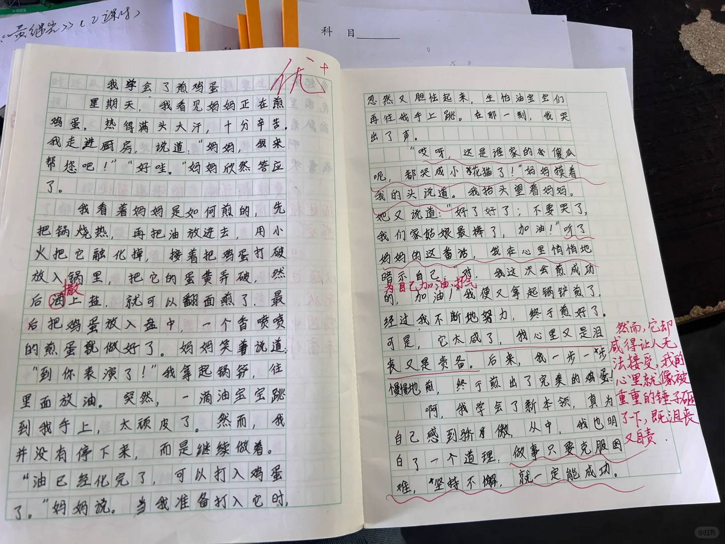 四下语文作文《我学会了——》范文